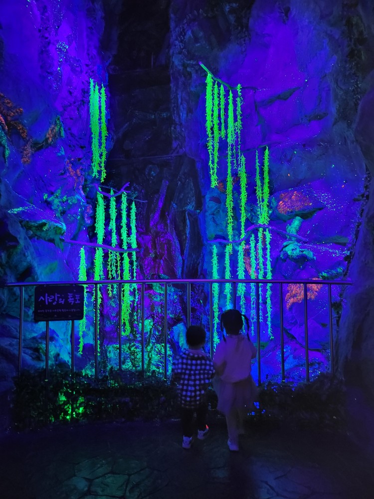 아쿠아리움을 구경하는 아이들