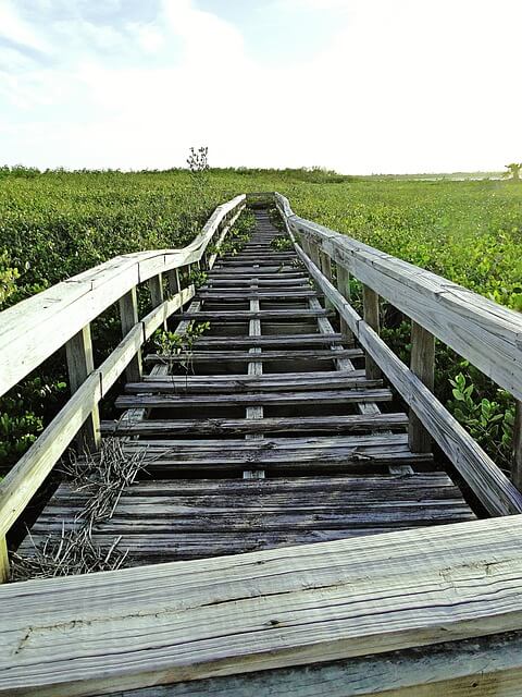 방치된 토지 상속 갈등