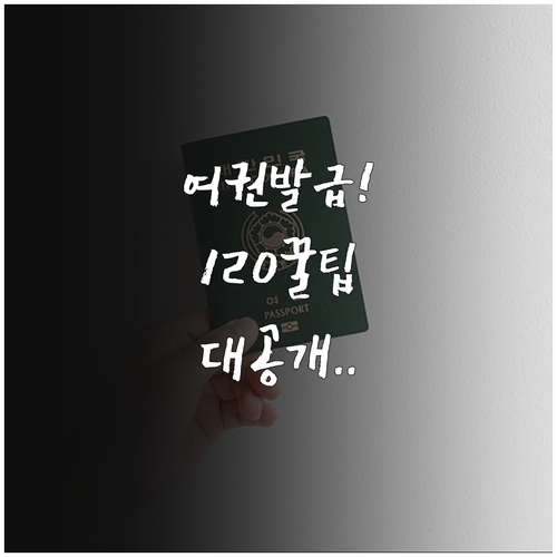 경기도 120 콜센터 여권 발급 민원..