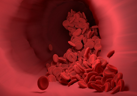 부정맥 원인과 증상