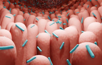 프로바이오틱스