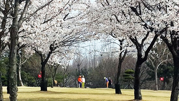 경상남도 창원 대원파크골프장 소개