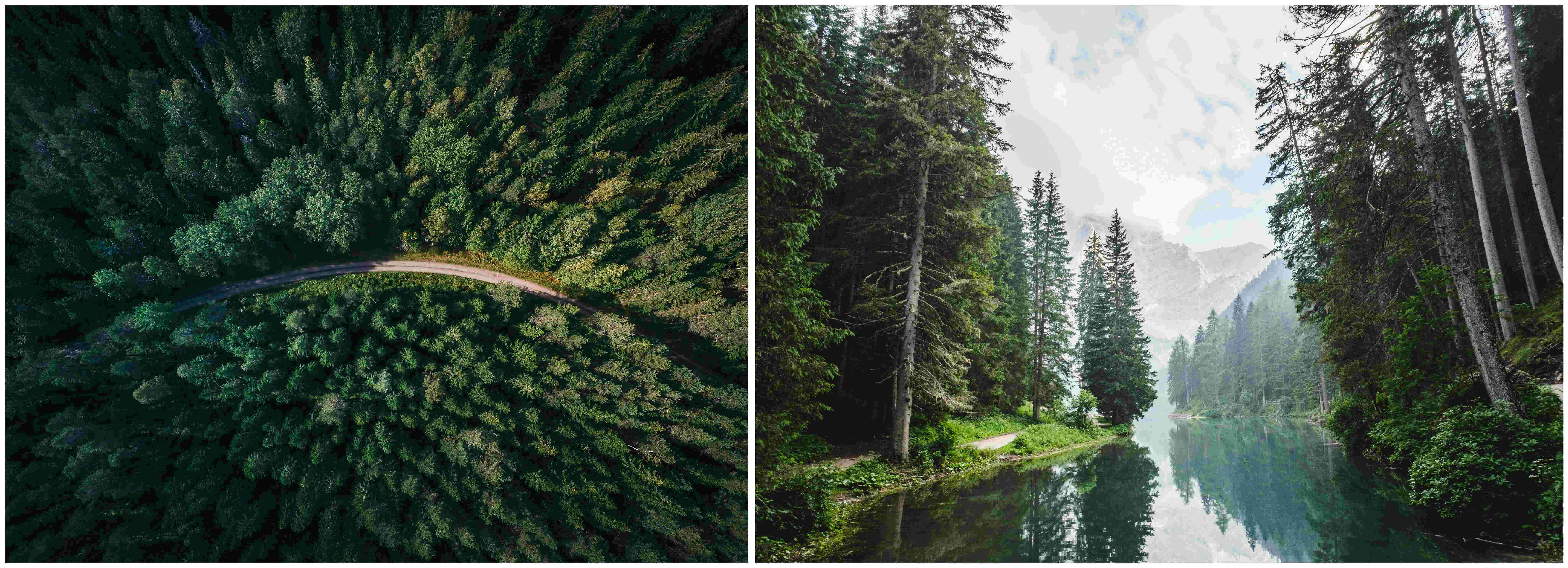 국립자연휴양림 사진