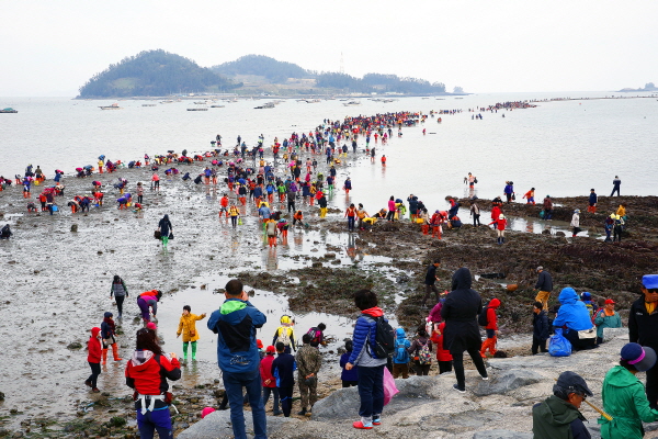 진도 신비의 바닷길 축제 시간