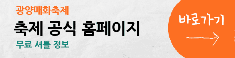매화-개화-시기-축제