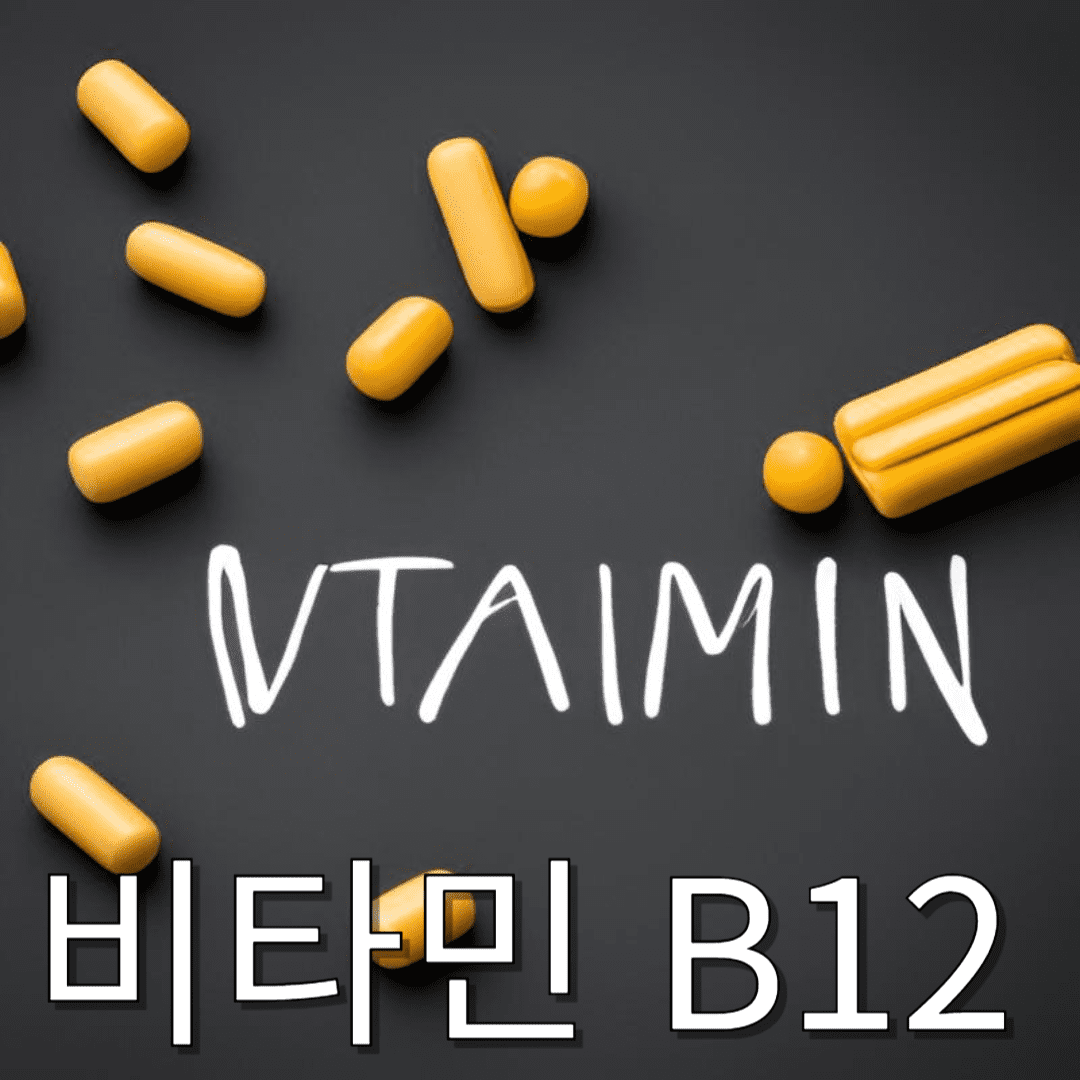 비타민 b12의 효능