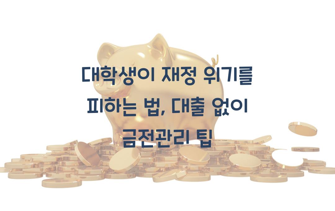 대학생이 재정 위기를 피하는 법 (무분별한 대출을 피하는 팁)