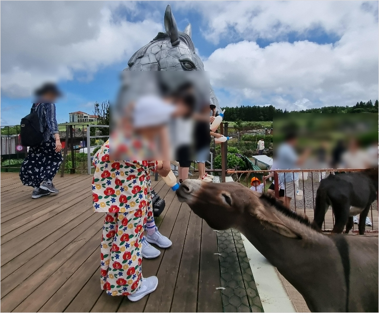 당나귀 우유 먹이기 체험