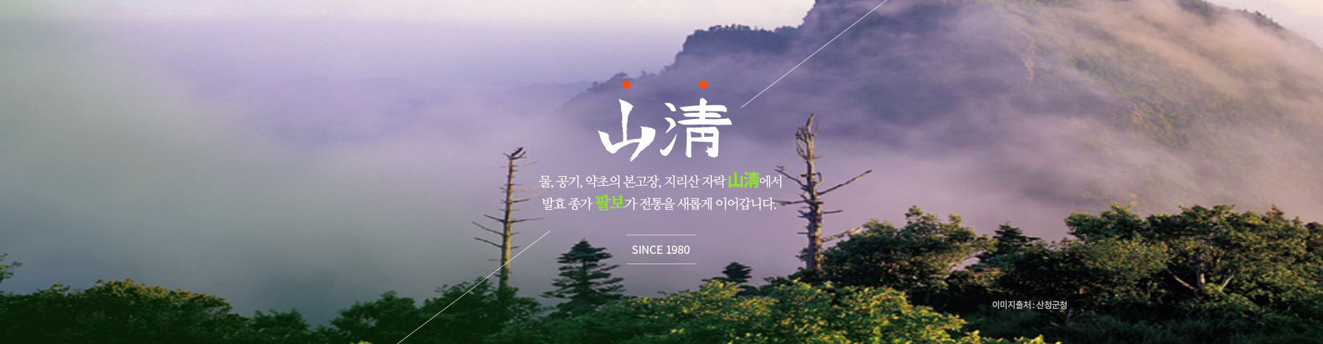 생방송오늘저녁 수상한 가족 경남 산청 지리산 다이어트 디톡스 자연 발효 곡물 효소 전국 택배 온라인 판매 파는 곳 추천