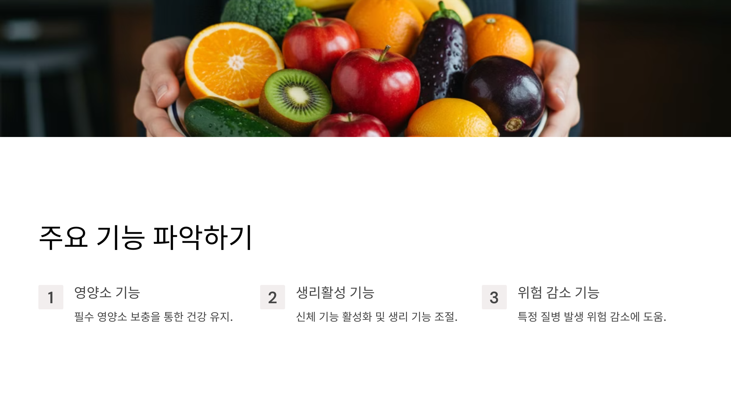 건강기능식품의 주요 기능