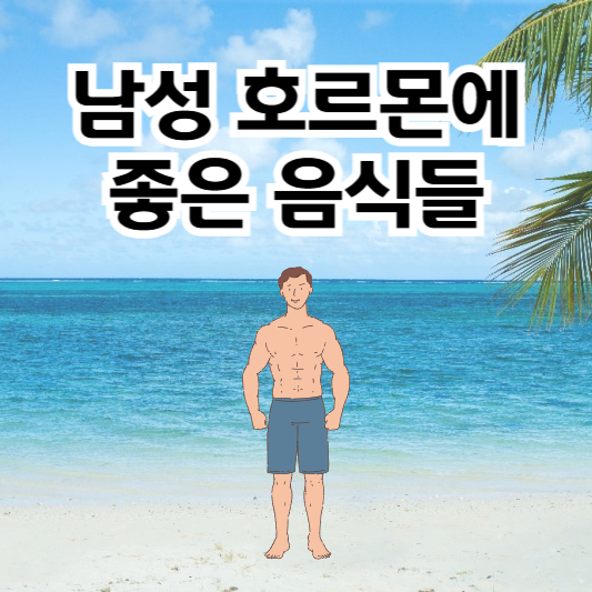 십자화과 야채 및 에스트로겐 관리