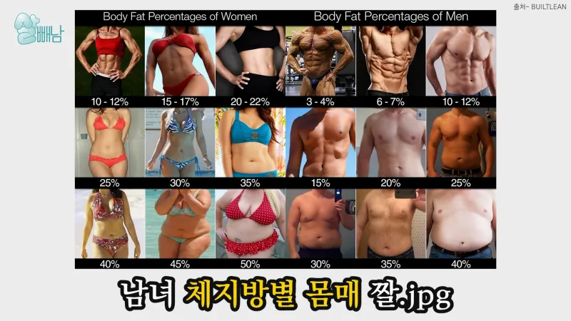 40대 여자 체지방률 평균 20~25% 계산 방법 측정법 다이어트_4
