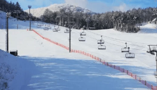 스키장 개장일
