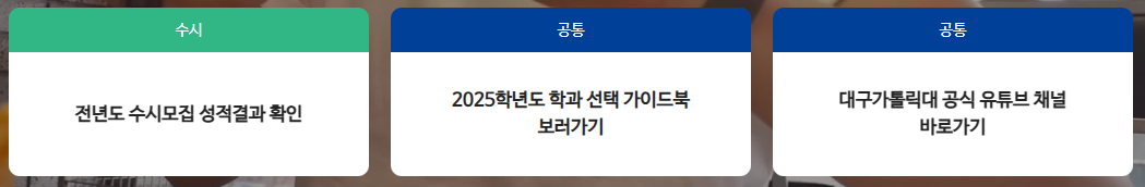 대구가톨릭대 입학처 홈페이지 https://ibsi.cu.ac.kr/