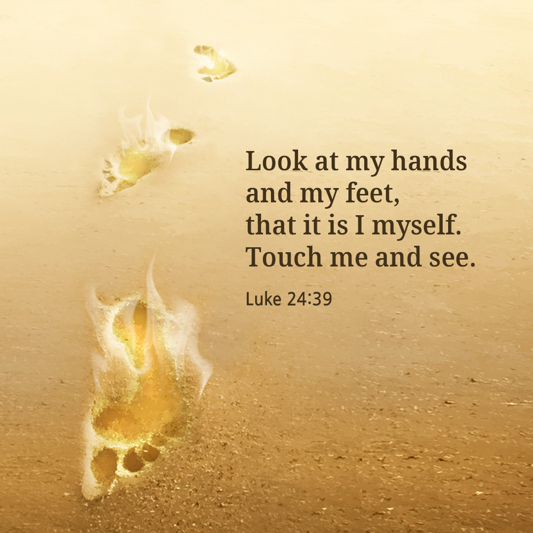 Look at my hands and my feet, that it is I myself. Touch me and see. (Luke 24:39)