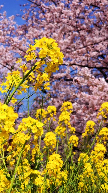 4월에 떠나기 좋은 해외 여행지 추천