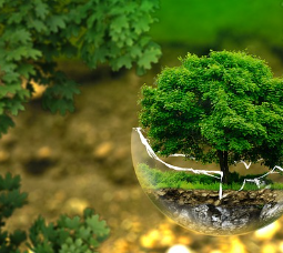 겨울철 난방 적정온도