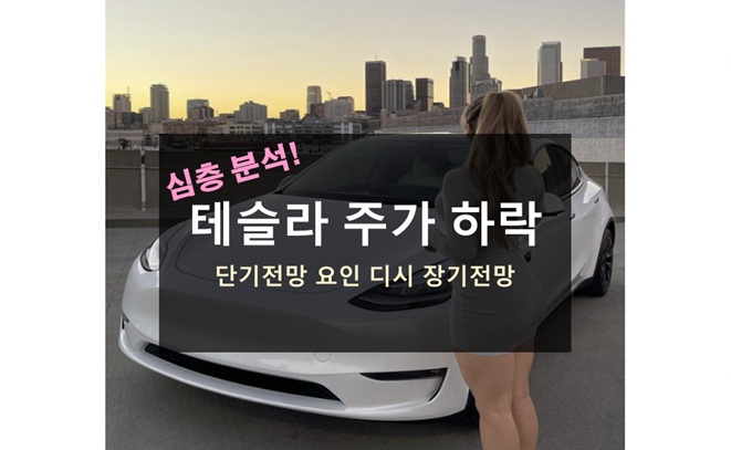 테슬라 주가 하락