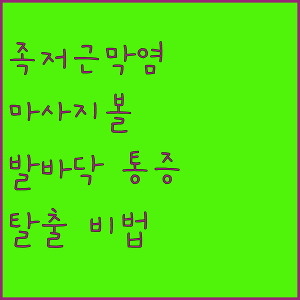 족저근막염 완화! OOOO 마사지볼로..