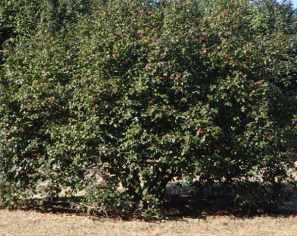 충남 가볼만한 곳 베스트10