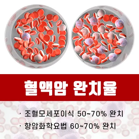 혈액암 완치율