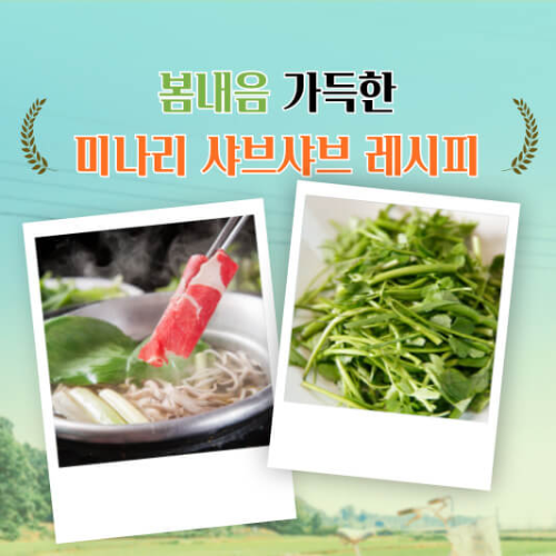 미나리 샤브샤브
