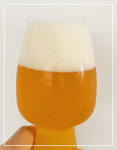 아리 세종 맥주