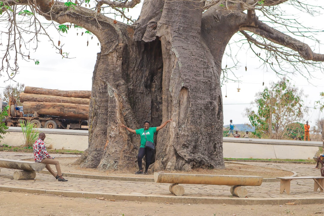 Baobab