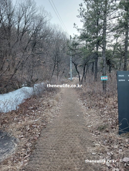 고지혈증 좋은 음식 운동 등산