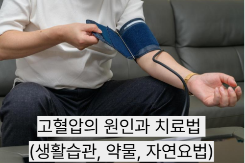 고혈압의 원인과 치료법 (생활습관, 약물, 자연요법)