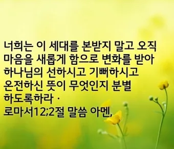로마서 12장 설교 아이디어 말씀 준비 강해_23