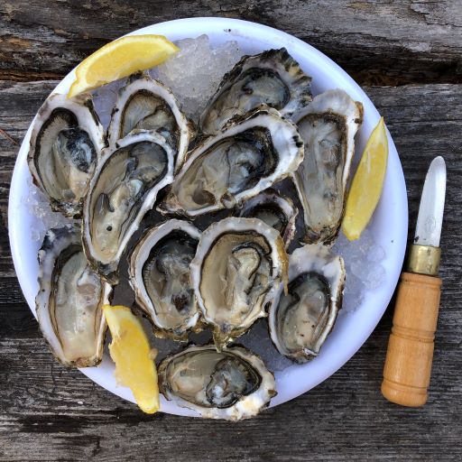굴-껍질-까기