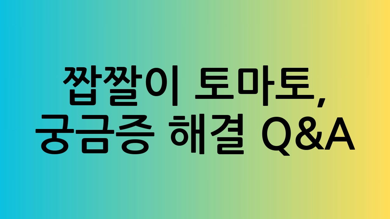 짭짤이 토마토, 궁