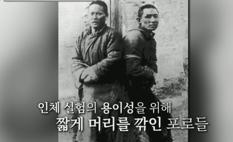 머리를 깍인 모습이 마루타 같다고 하여 생체실험에 이용된 포로들을 마루타라 불렀다.