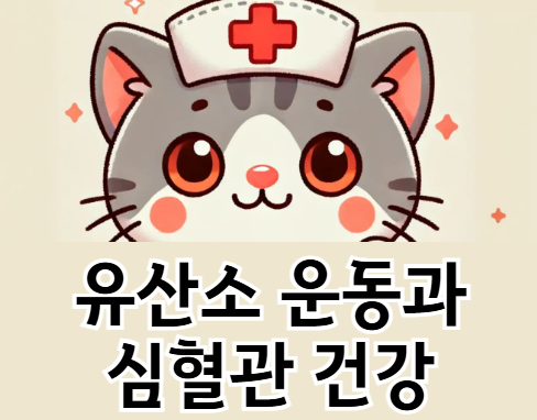 심혈관 건강을 위한 유산소 운동 BEST 5 &ndash; 효과적인 운동법 공개