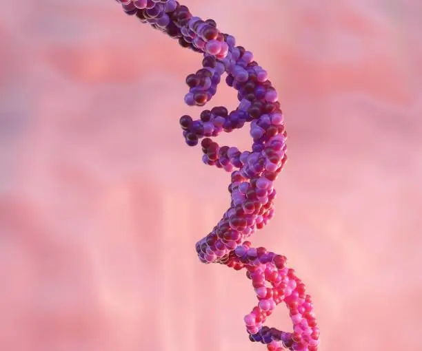 mRNA백신 관련주