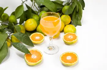 귤 가격 및 효능&amp;#44; 영양성분과 주의점