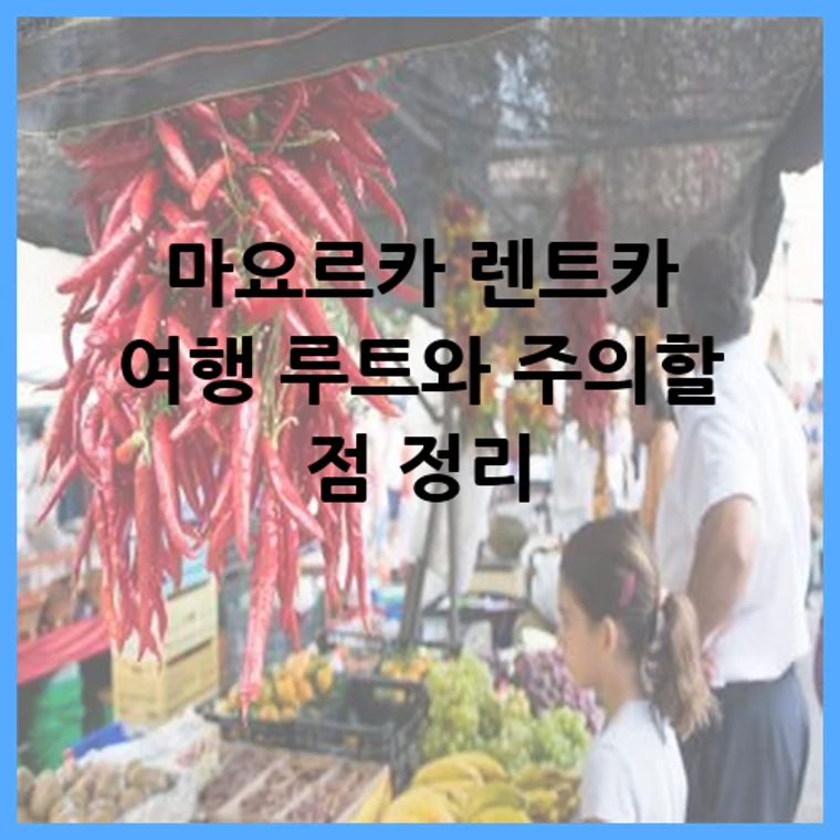 마요르카 렌트카 여행 루트와 주의할 점 정리