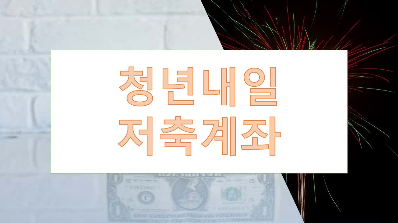 청년내일저축계좌 청년도약계좌 비교분석