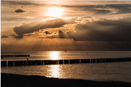 청와대 관람 예약,신청방법