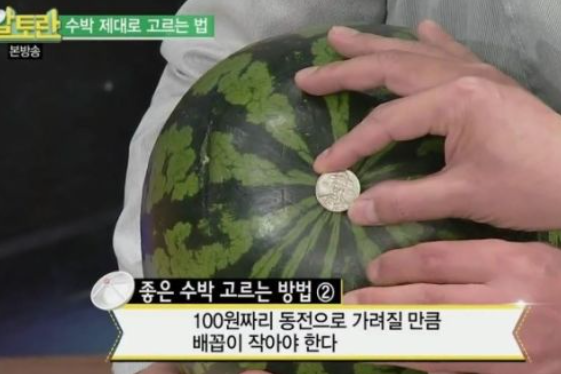 맛있는-수박-고르는-방법3