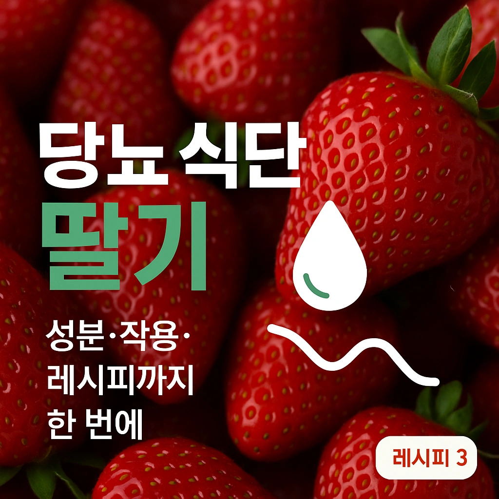 당뇨 식단 딸기, “달아 보이는데” 혈당에 도움이 되는 이유 (영양성분·작용·레시피)