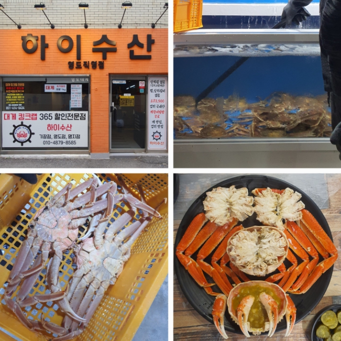 영도/대교동 하이수산영도점 모음집