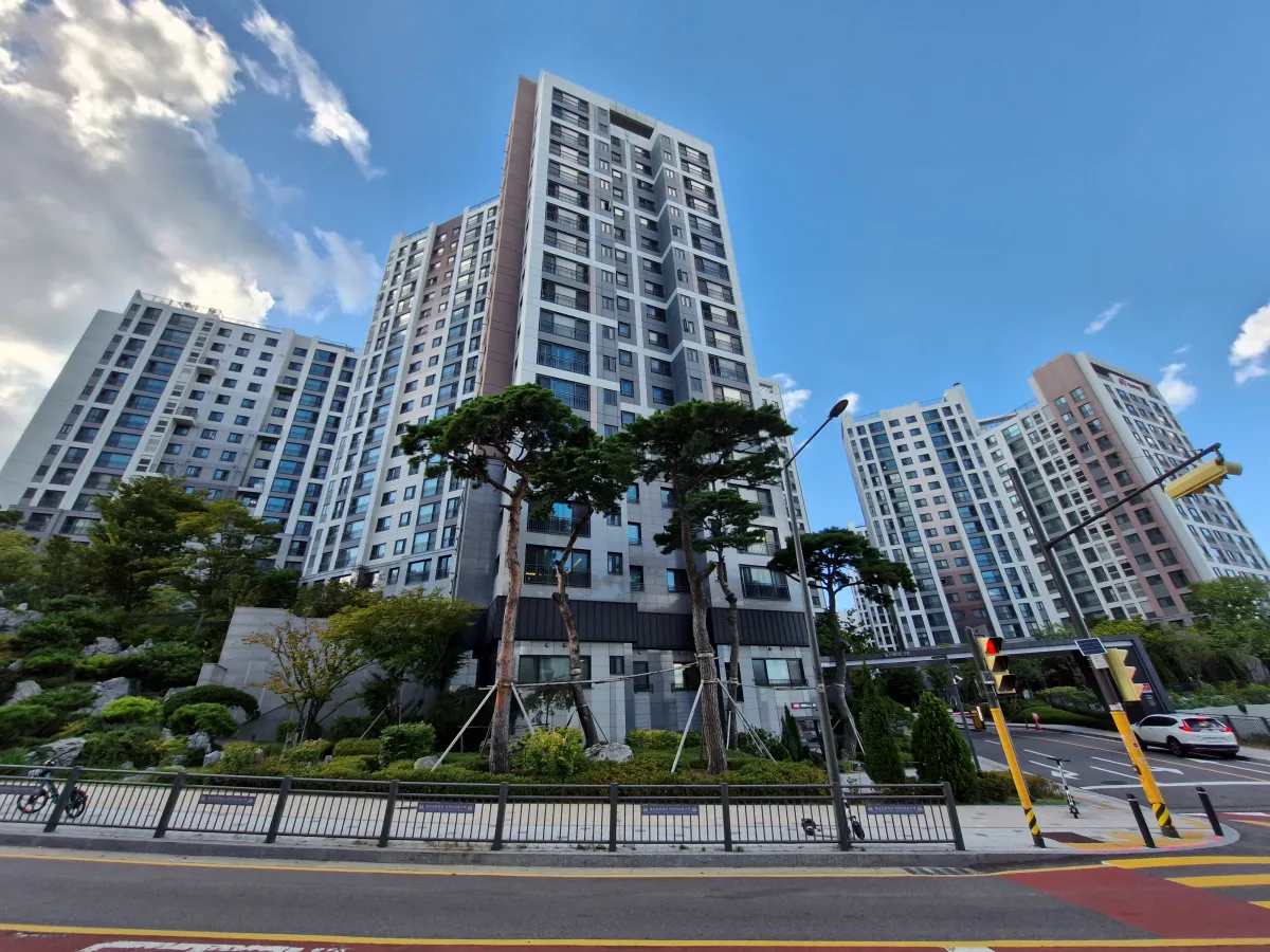 도로-건녀편에-소나무와-신축아파트가-높게-형성되어-있다