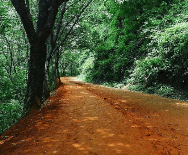 계족산 황토길 걷기, 계족산 황토길1