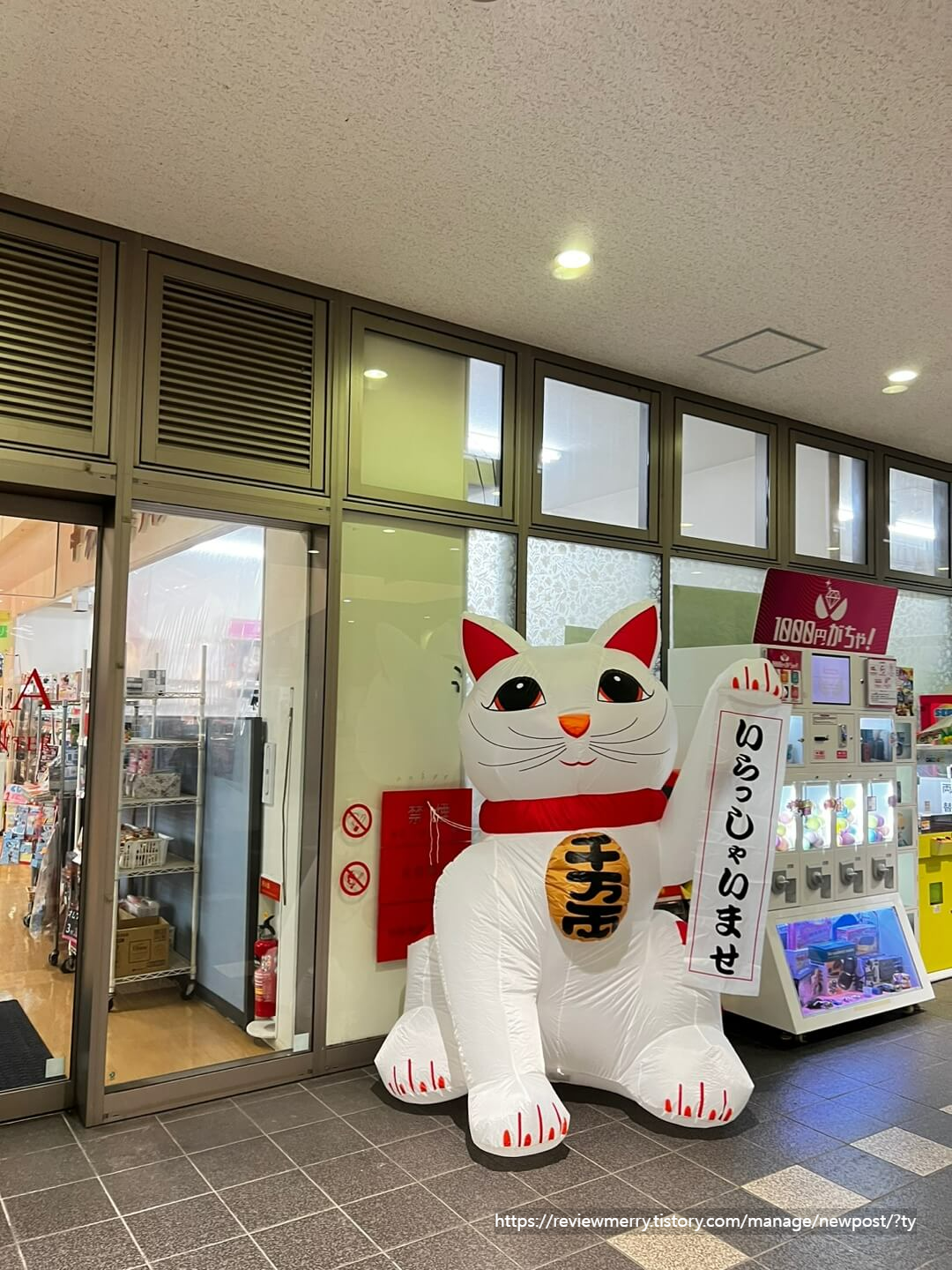 입구 고양이 인형