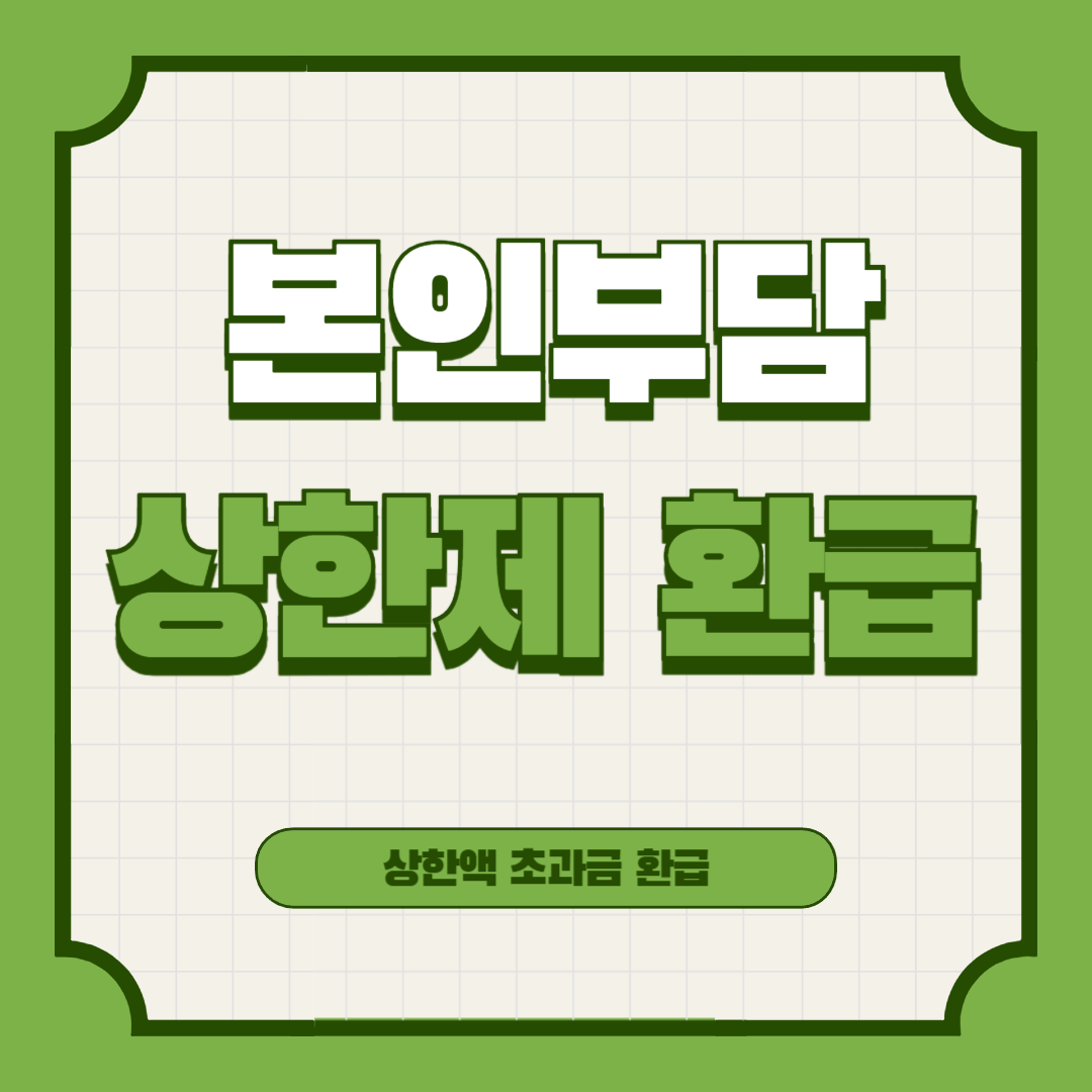 본인부담상한제