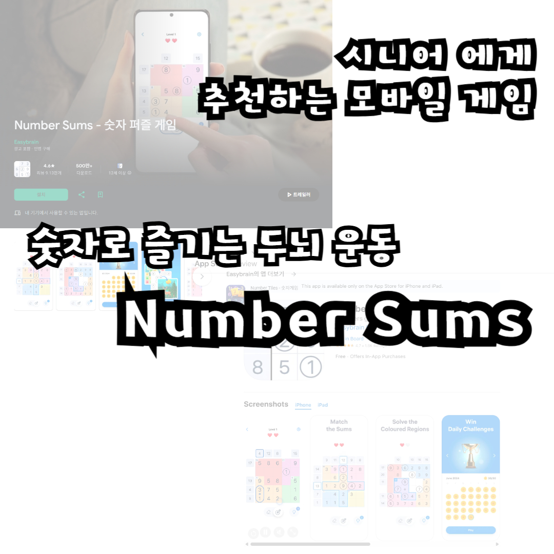 숫자로 즐기는 두뇌 운동, Number Sums