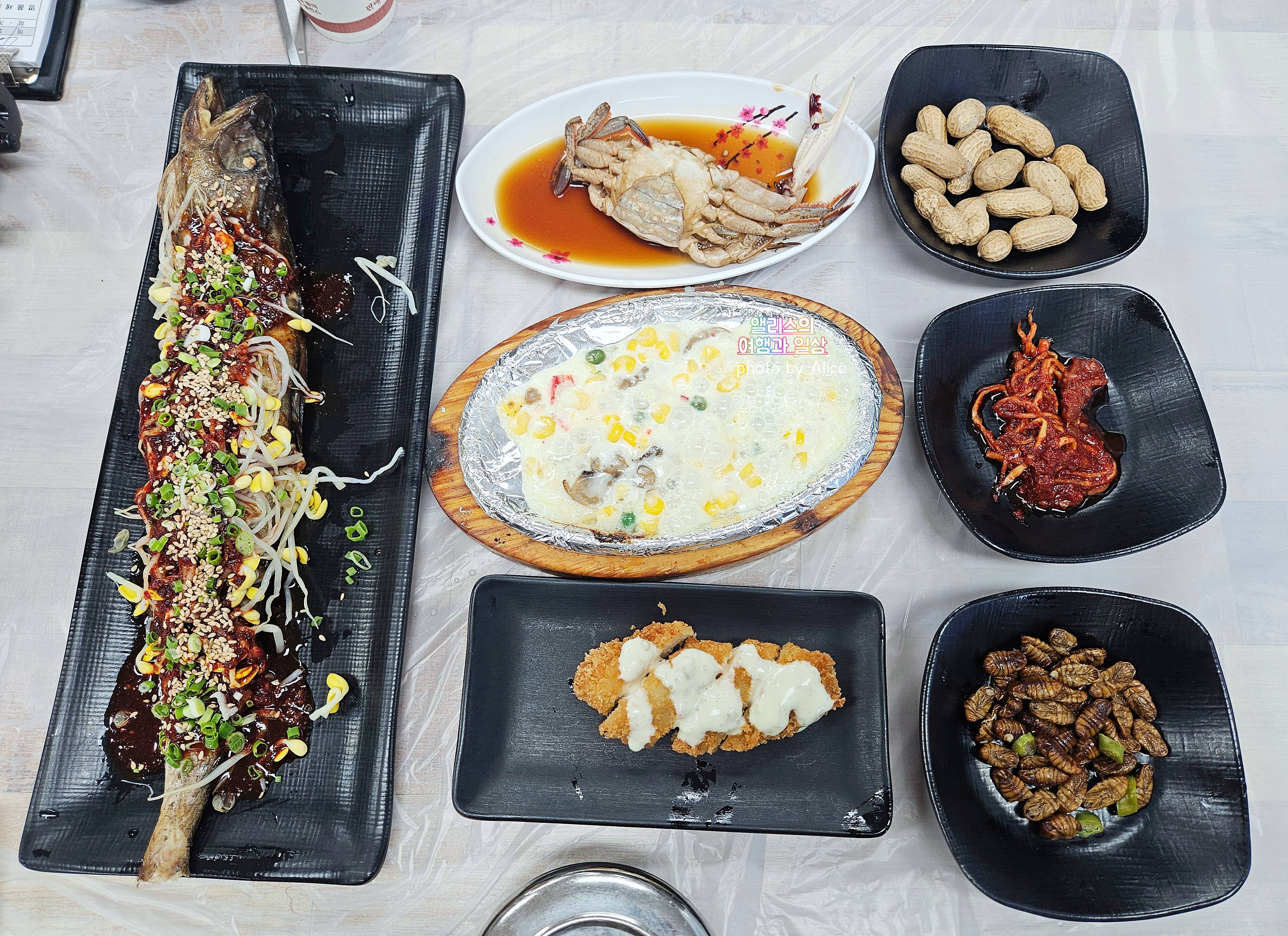 포항 죽도시장 물회 삼형제횟집 내돈내산 솔직 후기 (위치 주차장 정보)