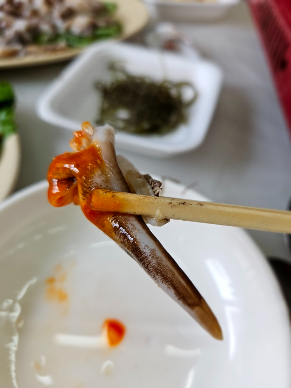 부들 부들 입안에서 녹는 새조개